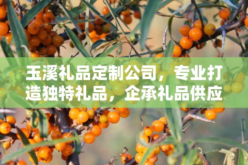玉溪礼品定制公司，专业打造独特礼品，企承礼品供应链引领行业新风尚